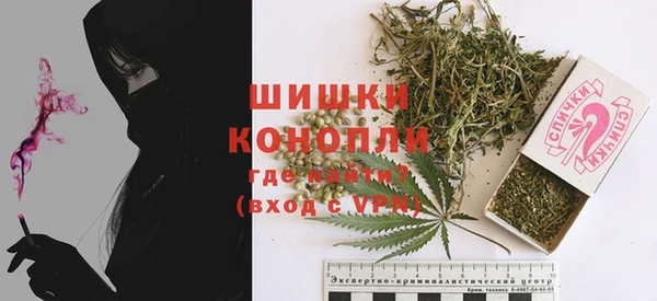 шишки Белоозёрский