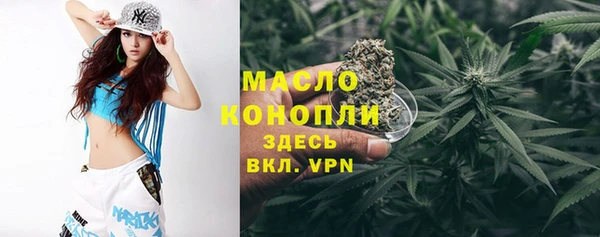 шишки Белоозёрский