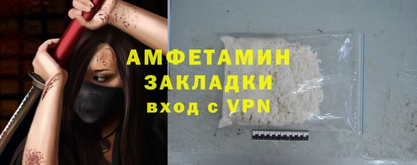 шишки Белоозёрский