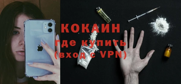 шишки Белоозёрский