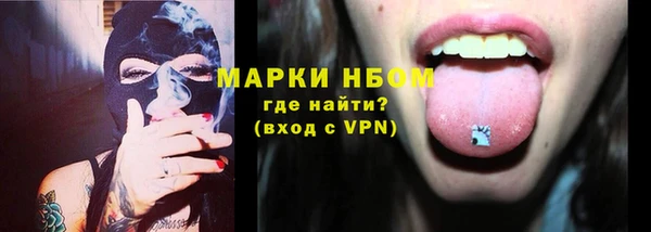шишки Белоозёрский