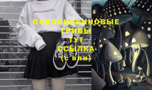 шишки Белоозёрский