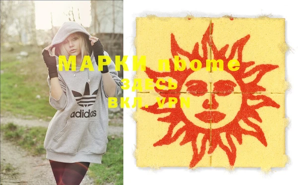 шишки Белоозёрский