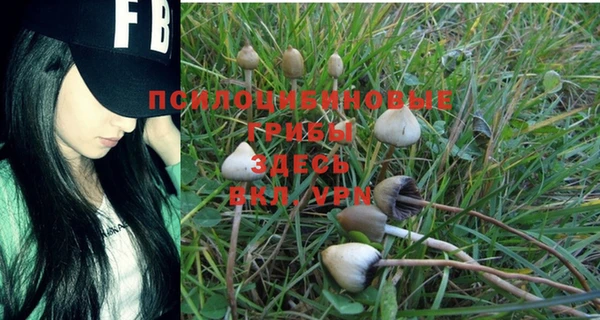 mdpv Белокуриха