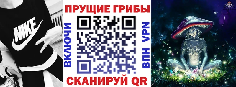 закладки  Тверь  Галлюциногенные грибы Magic Shrooms 