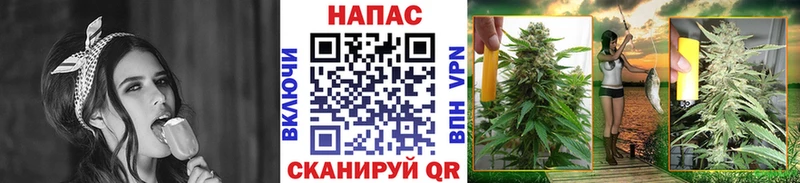 как найти закладки  Тверь  Шишки марихуана OG Kush 